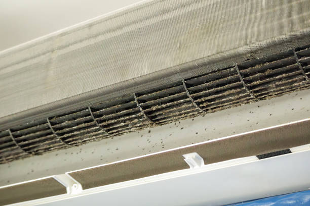 Best Air Duct Cleaning Near Me  in Keshore, LA